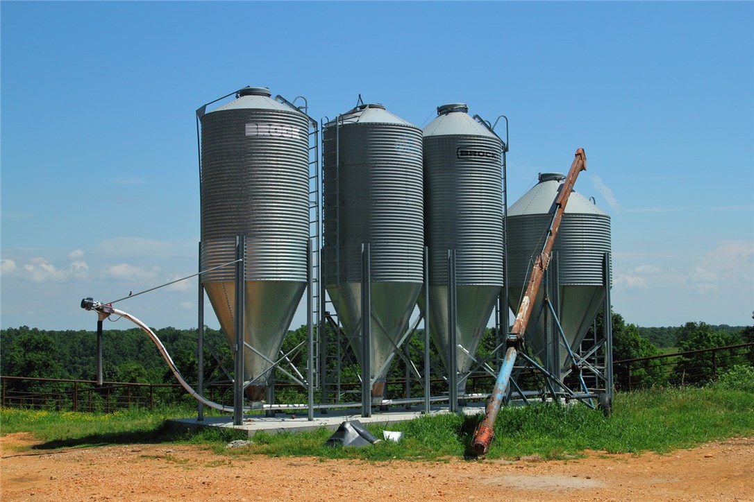Chicken Ridge - Farm