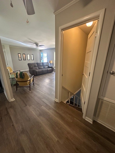 Pines Sub - Residential