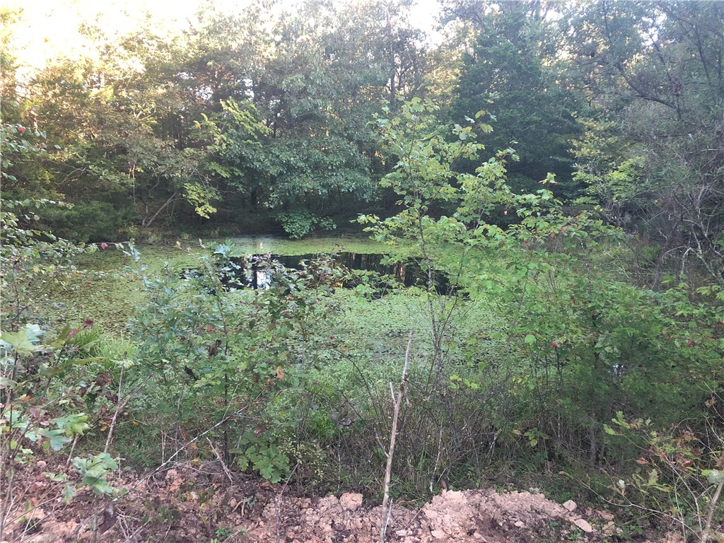 Mossy Oak - Land