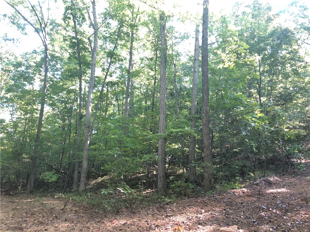 Mossy Oak - Land