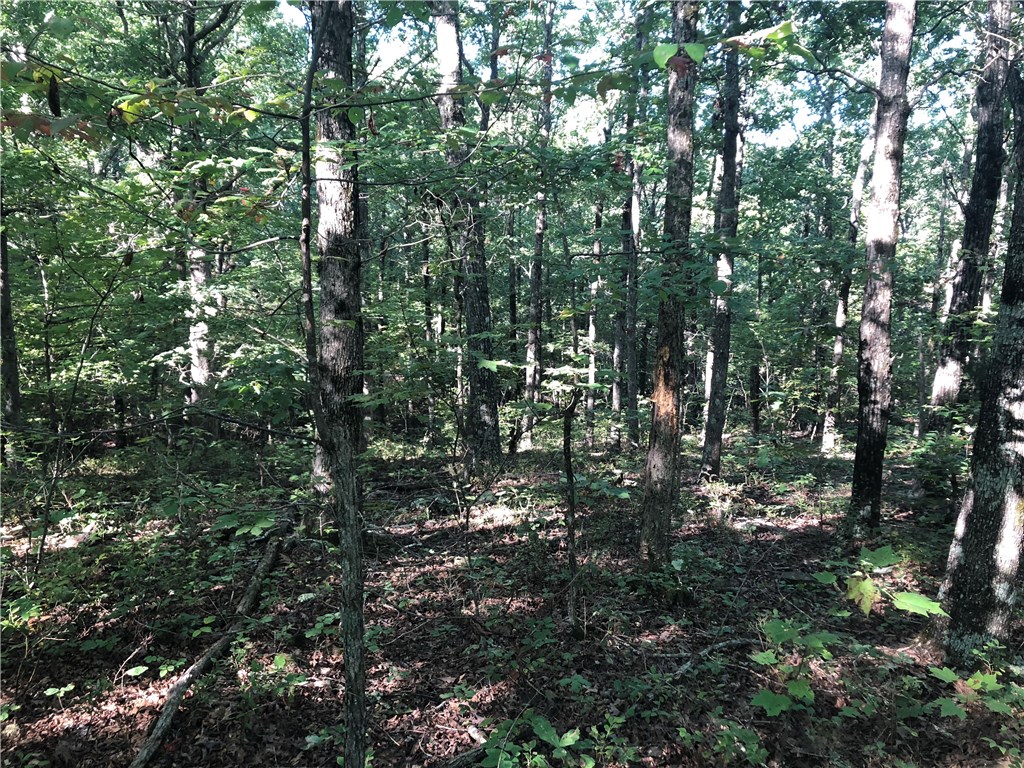 Mossy Oak - Land
