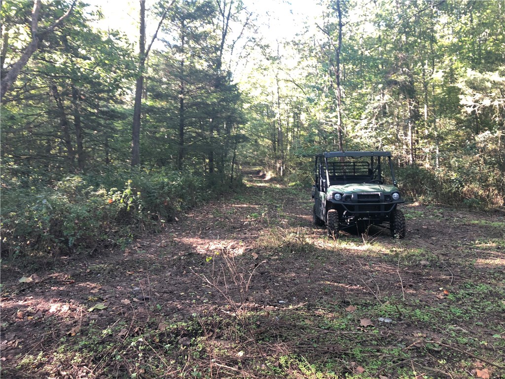 Mossy Oak - Land