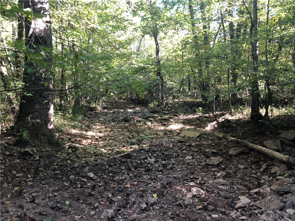 Mossy Oak - Land