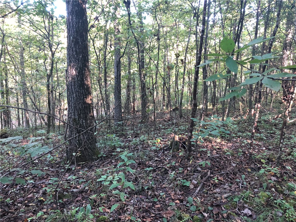 Mossy Oak - Land