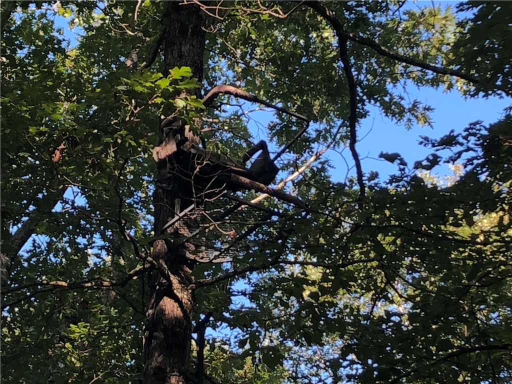 Mossy Oak - Land