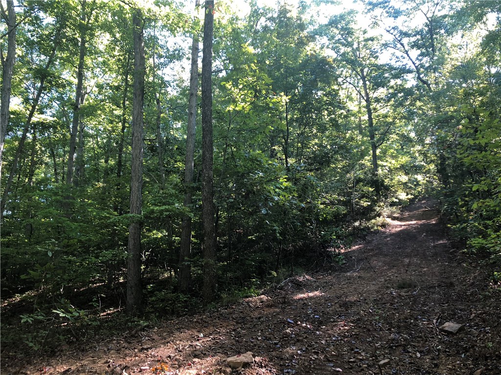 Mossy Oak - Land