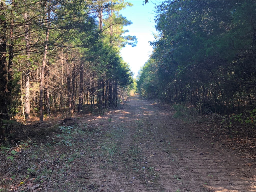 Mossy Oak - Land