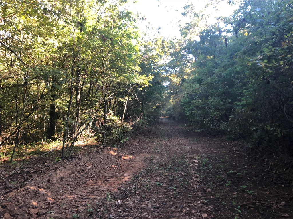 Mossy Oak - Land