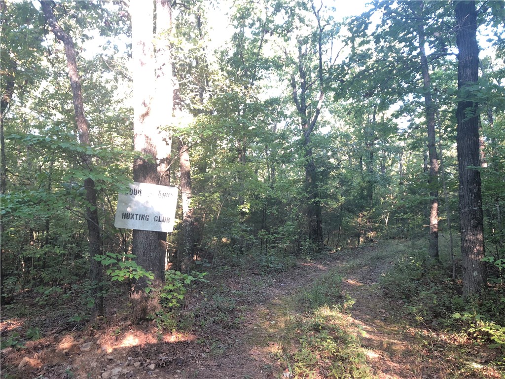 Mossy Oak - Land