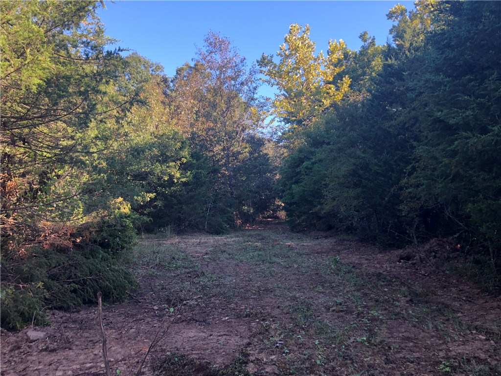 Mossy Oak - Land