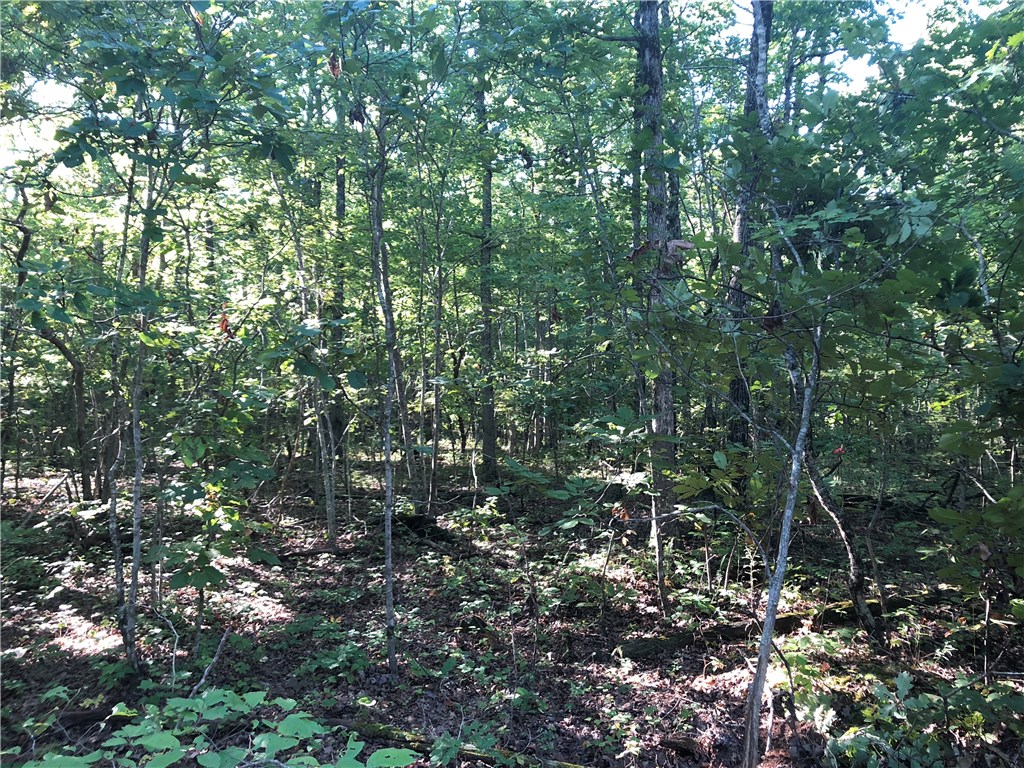 Mossy Oak - Land