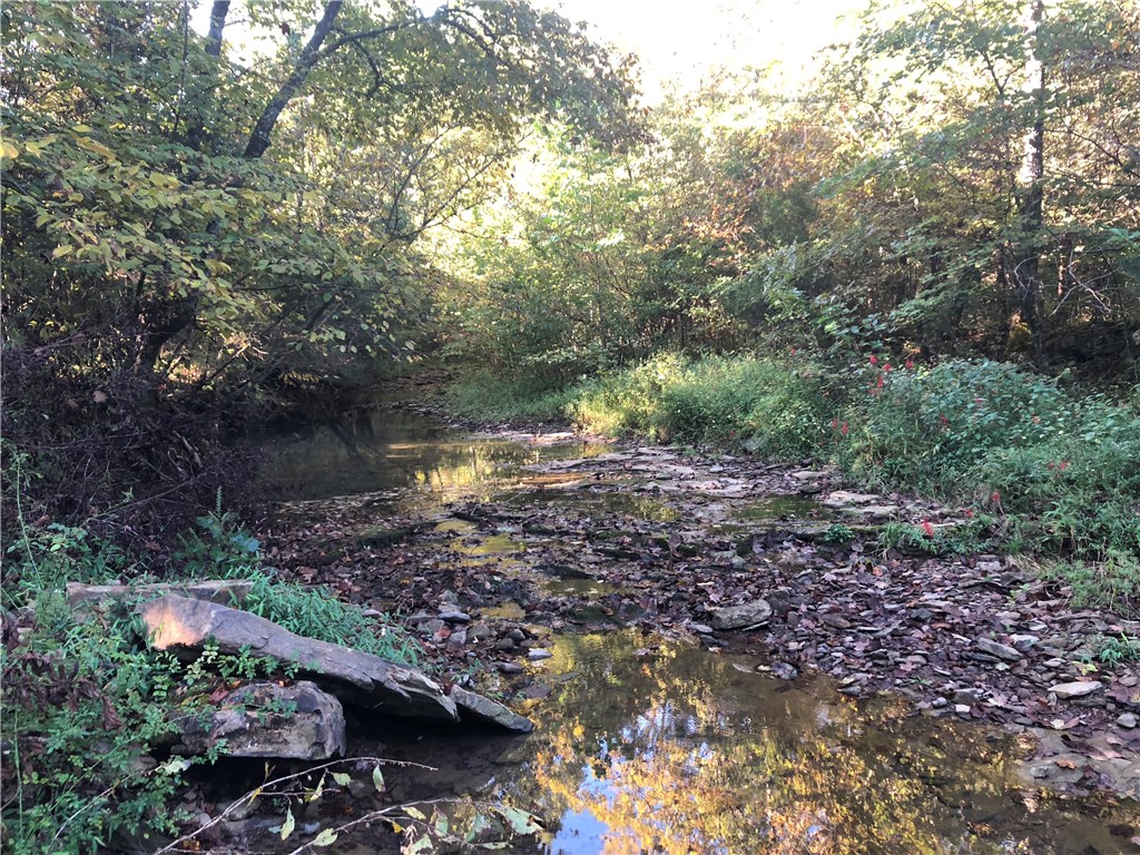 Mossy Oak - Land