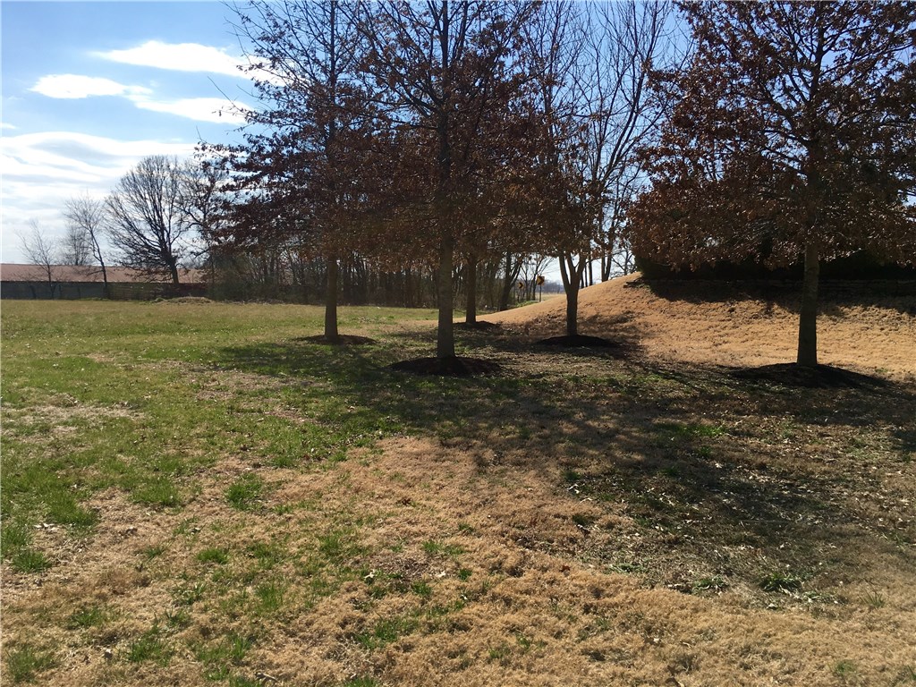 Last available lot in Chattin Valley! Bentonville Schools and 3/4 acres of level ground to build your dream home. Existing survey to convey to the buyer.