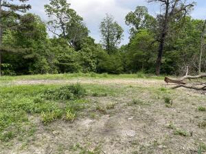 Gently rolling 4.10 ac m/l with private well, possible septic and electric on the property. Partially cleared. One mile off the main road! Ready for a home or RV. No restrictions!