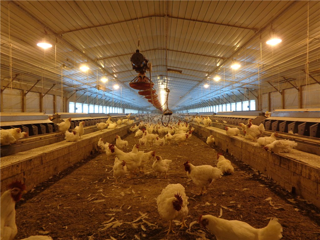 na - Farm