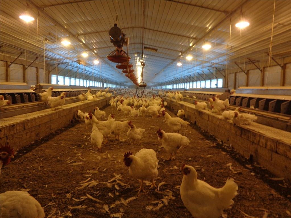 na - Farm