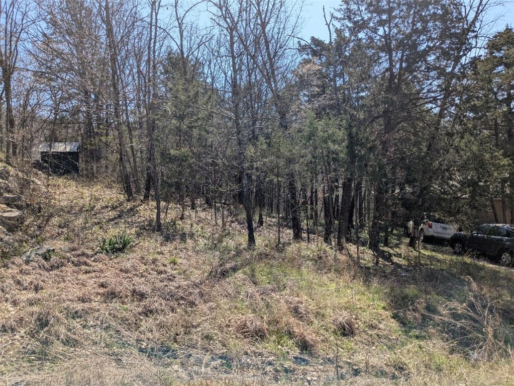 Unit 10 Holiday Island - Land