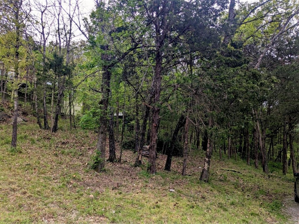 Ready to build your dream home? Quiet and gently wooded, this lot with water and electric available at the street gives you the best of both worlds. Enjoy the amenities in Holiday Island like golf courses, a country club, swimming, tennis and a marina with a fishing dock or watch the local fauna from your back deck! Nearby Eureka Springs or Rogers offer great shopping and vibrant cultural hubs.