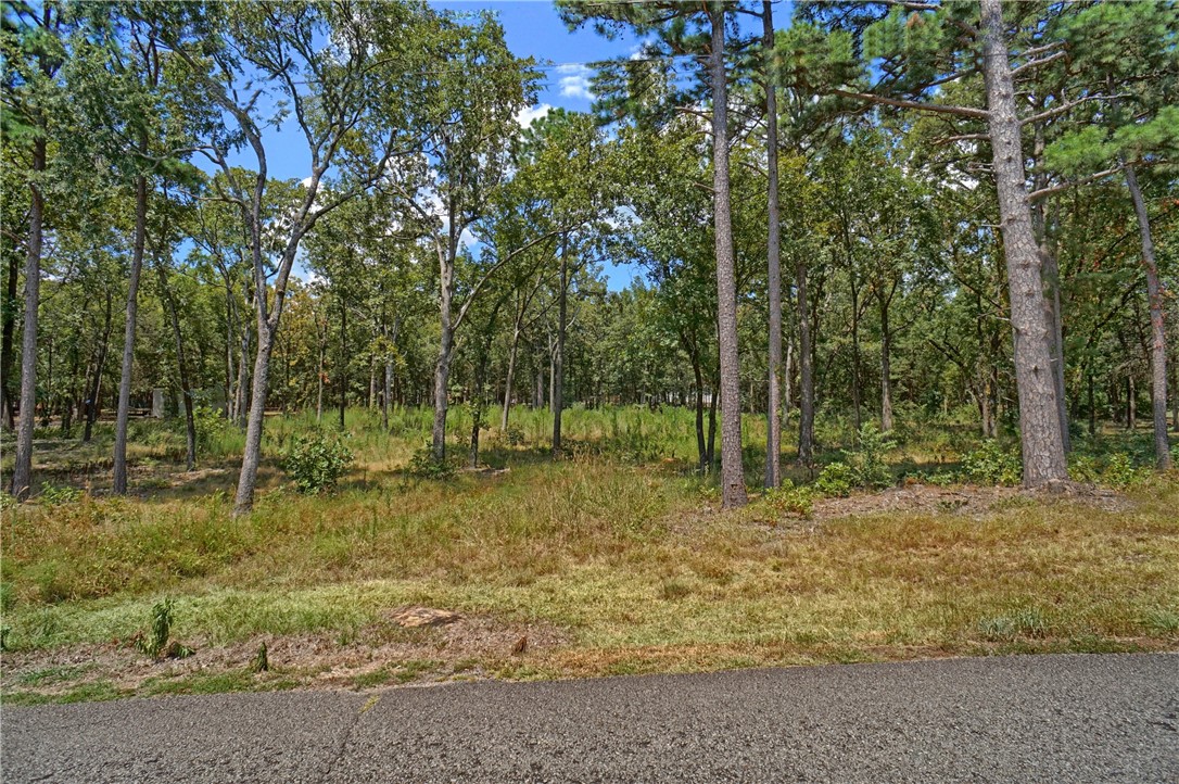 CAGLE ROCK VILLAGE - Land