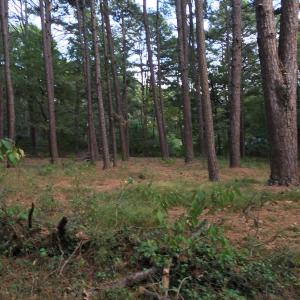 Lake Side Acres - Residential