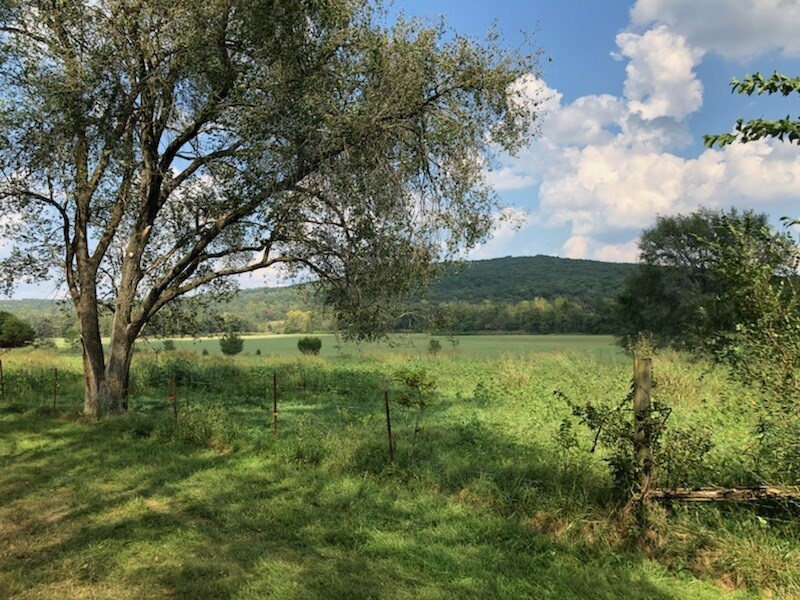 na - Farm