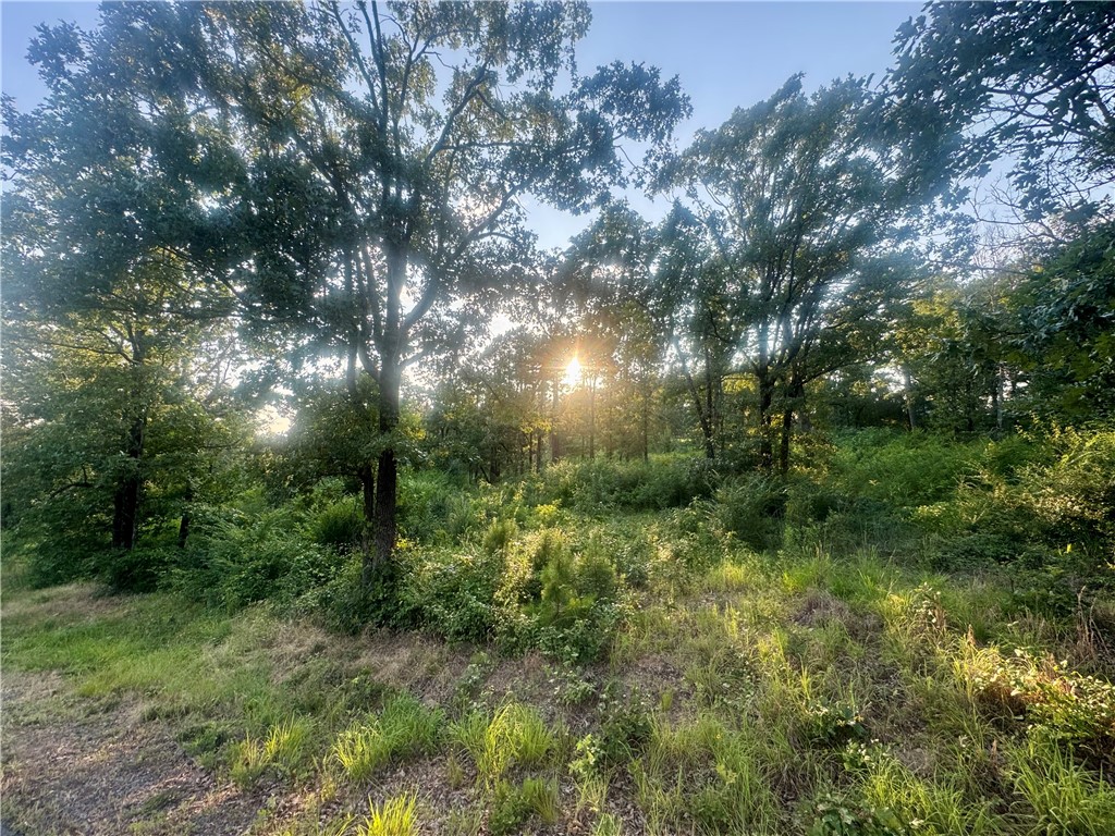 Gorgeous four-acre lot in the beautiful Riverstone Subdivision. With views of Mt. Nebo and multiple places to build, this lot will make a beautiful setting for your forever home. Close to Old Post Park and only minutes from downtown Russellville, this location is close to amenities in both Russellville and Dardanelle. Don't miss your chance to own four breath taking acres in Russellville now! 

Water and electric are at the road.