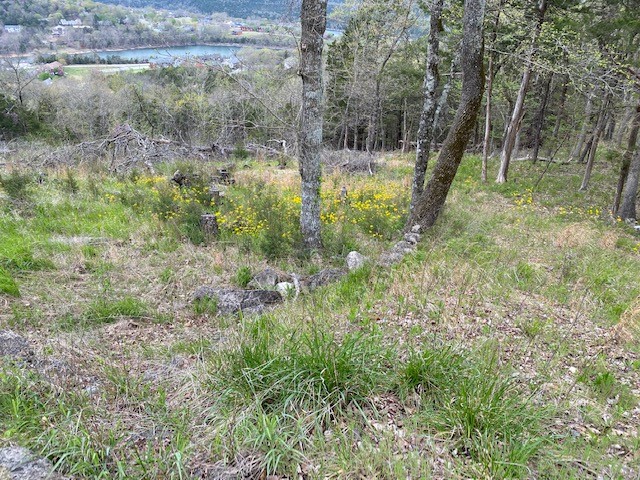 Unit 5 Holiday Island - Land