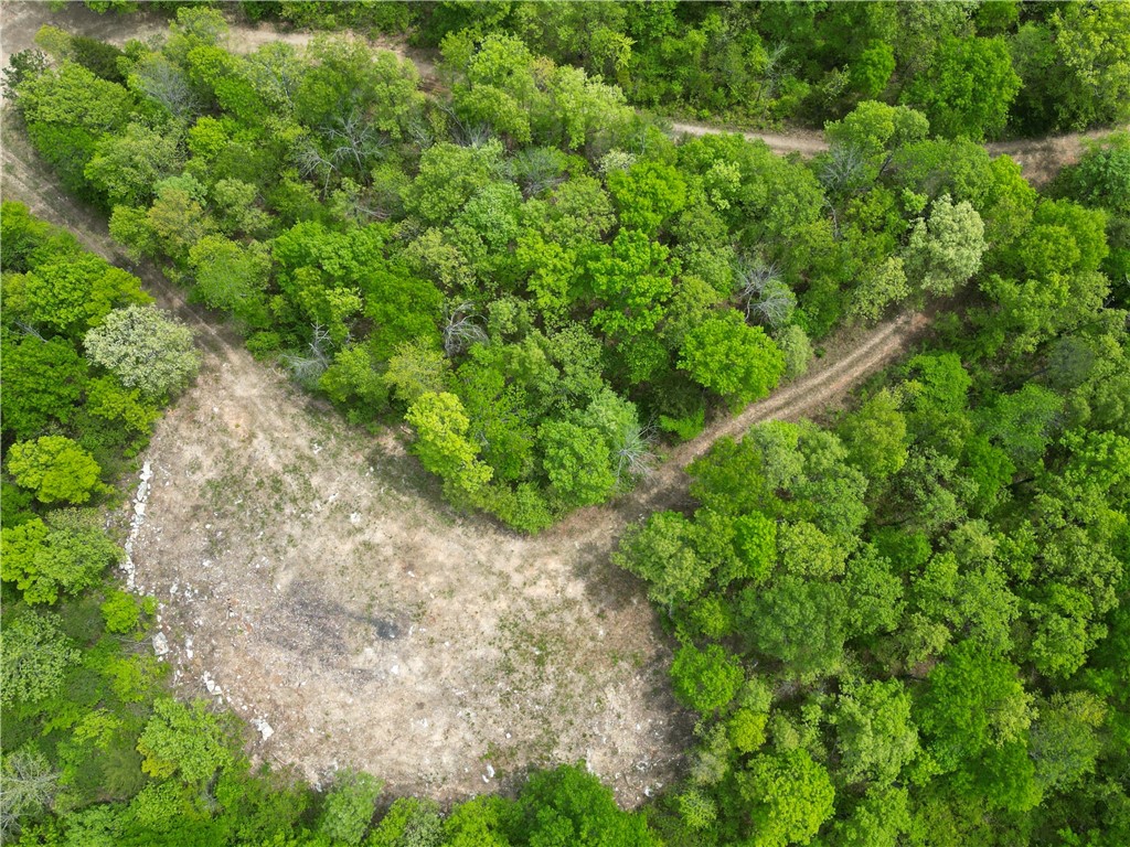 9.88 acres nestled in stunning Newton County, Arkansas. At the highest point of the property, there’s a lovely clearing perfect for building, offering fantastic views of the surrounding mountains. Just minutes away from Jasper, the Little Buffalo River, the Buffalo National River, and numerous hiking trails, this location is ideal. Rural water and electricity are available, making it a great spot for a home, cabin, or investment property.