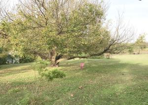 McElroy Subdivision, 3rd Addition - Residential
