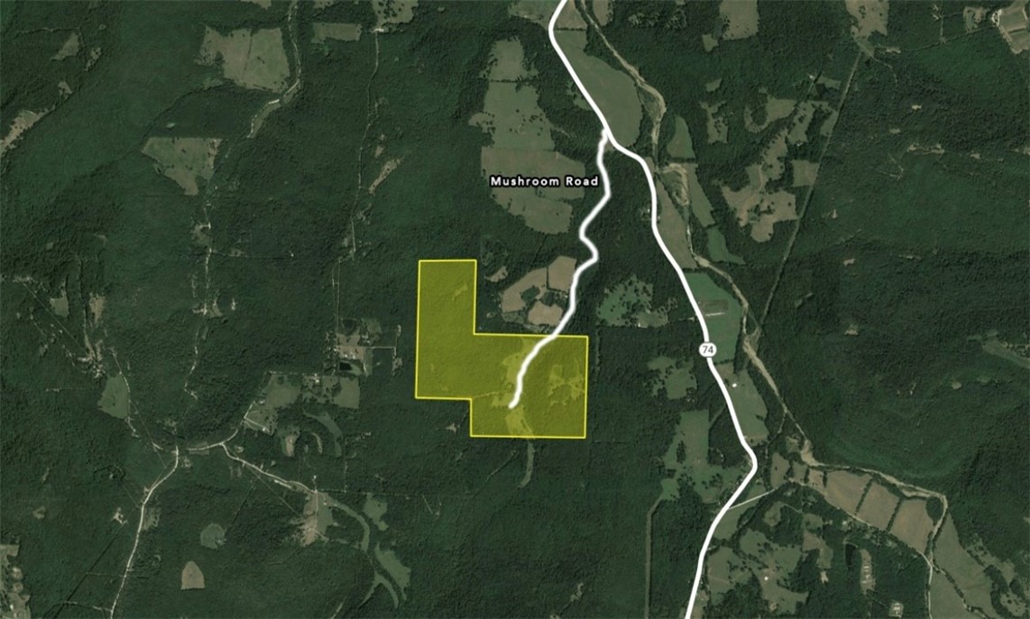 • Turnkey Ranch/Farm in the heart of Rapidly Growing 
Northwest Arkansas 
• One-of-a-kind property with mature trees and a great mix of 
open pasture and hardwoods
• Upside long-term development potential
• Extremely fertile dark black soil with natural clover
• 17 miles from the University of Arkansas
•  46 miles to Walmart home offices and Beaver Lake
• High yielding hay operation with 3-4 cuts per year providing 
significant income
• Upside opportunity to add cows. Most parcels have 
perimeter fencing and have been surveyed
• All easements are recorded and permanently conveyed with 
the property
• Trophy Whitetail Deer, Turkey, Bear, and occasional Hog 
hunting
• Multiple deer stands and food plots 
• Trace Branch Creek runs through the middle of the property
•Recently renovated Cabin on the far end of the property 
that can be used as VRBO or leased out for hunting/ATV 
riding