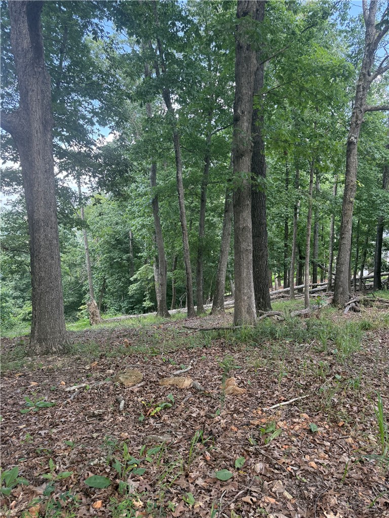 Tri View Estates - Land