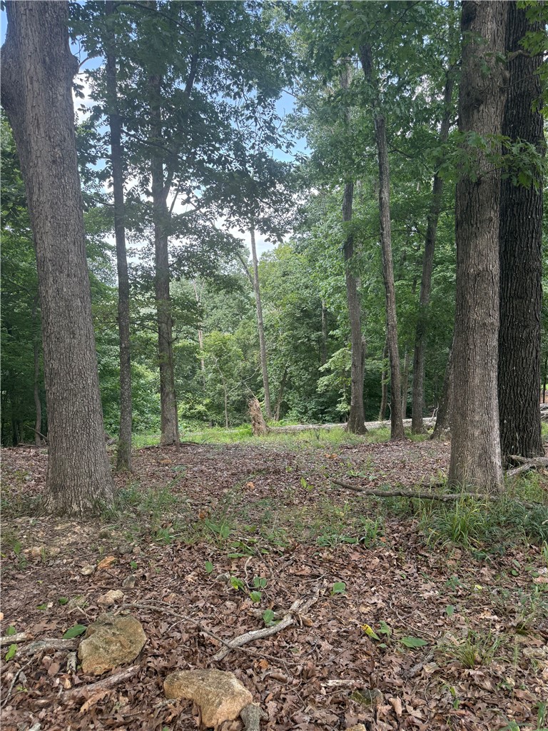 Tri View Estates - Land