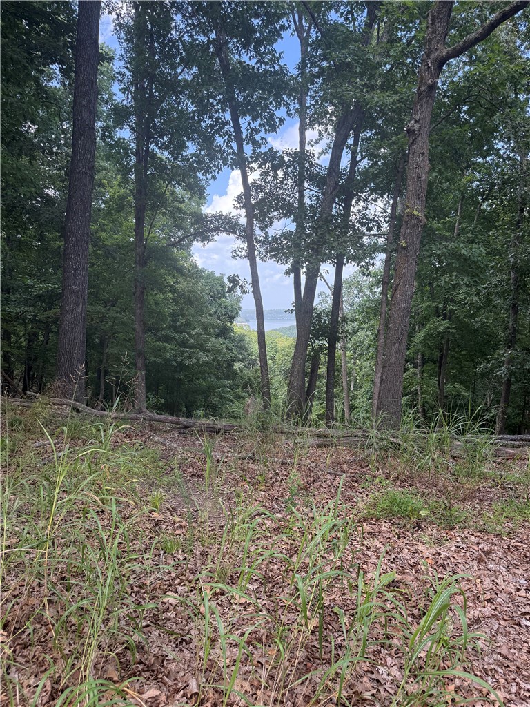 Tri View Estates - Land