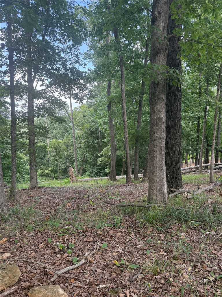 Tri View Estates - Land