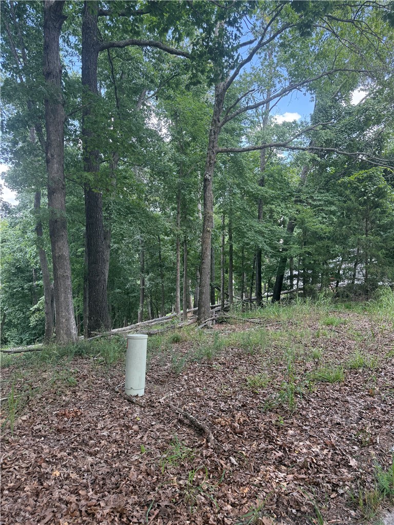 Tri View Estates - Land
