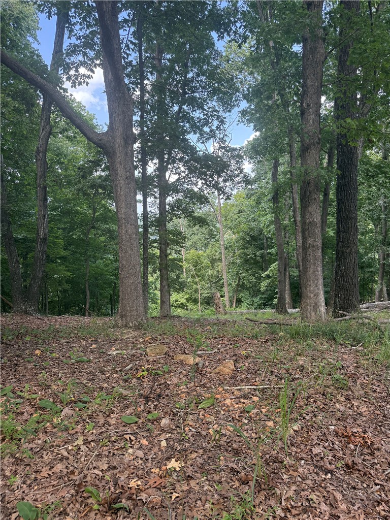 Tri View Estates - Land