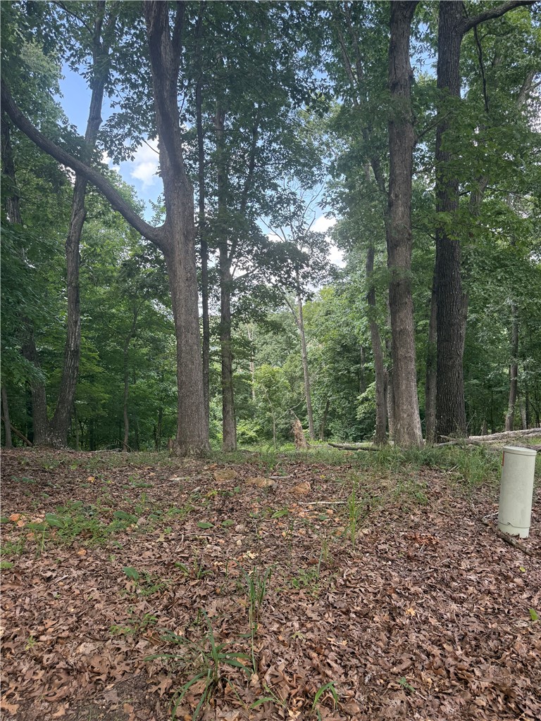 Tri View Estates - Land