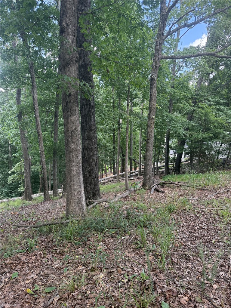 Tri View Estates - Land