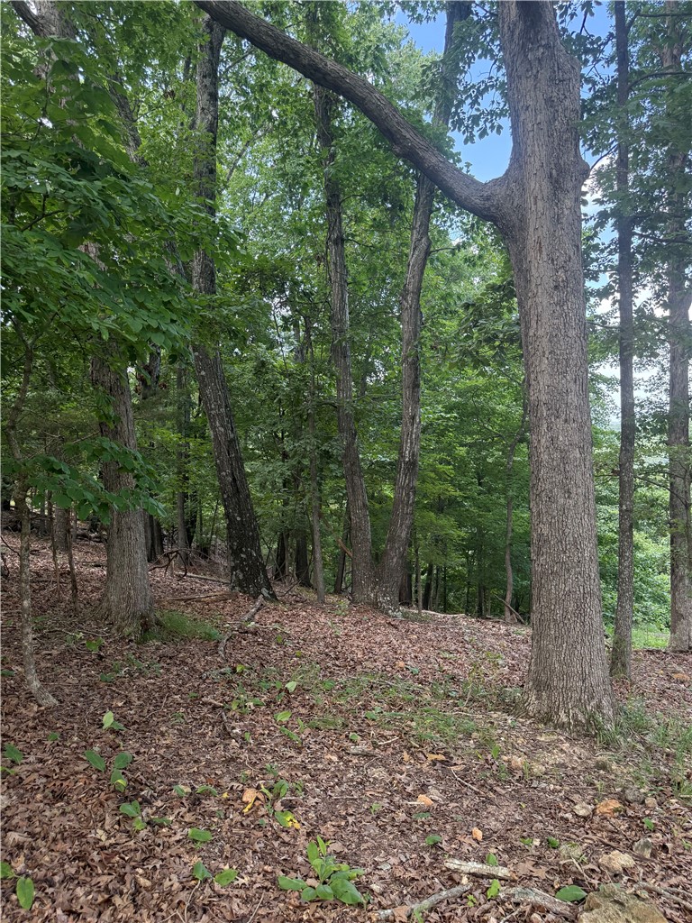Tri View Estates - Land