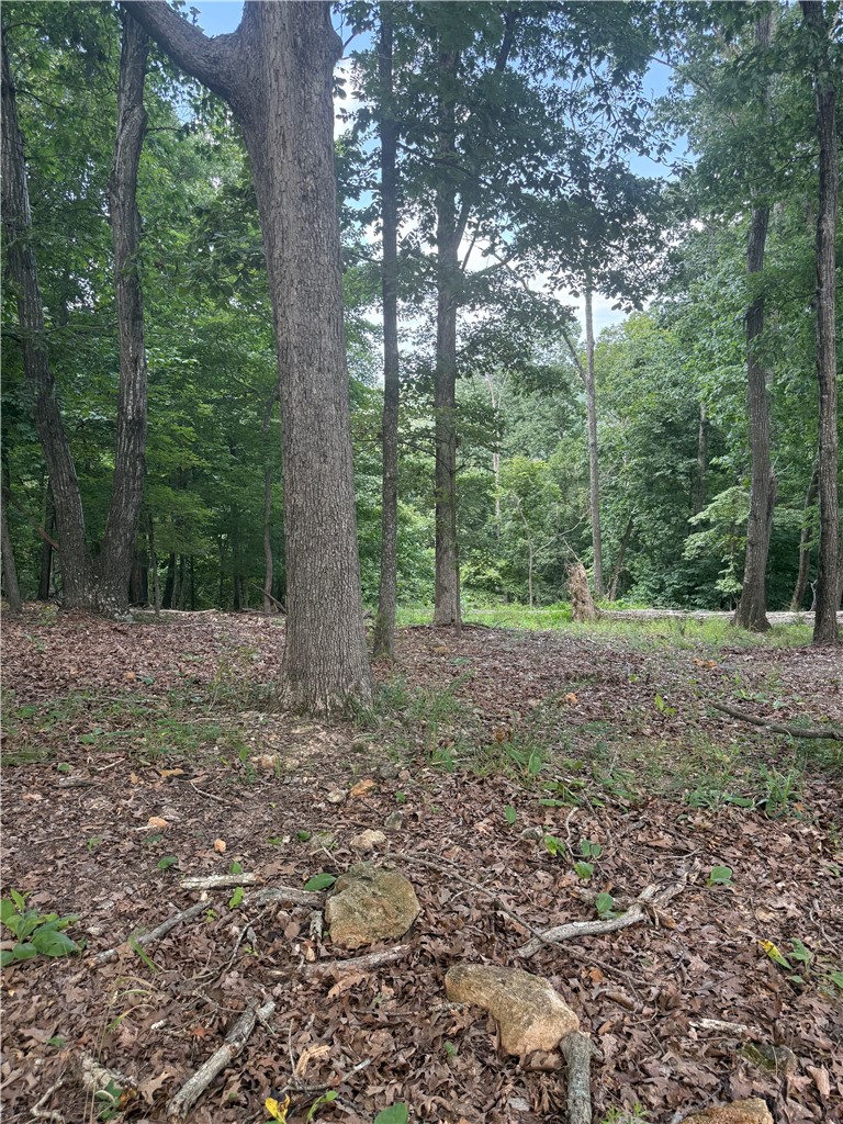Tri View Estates - Land