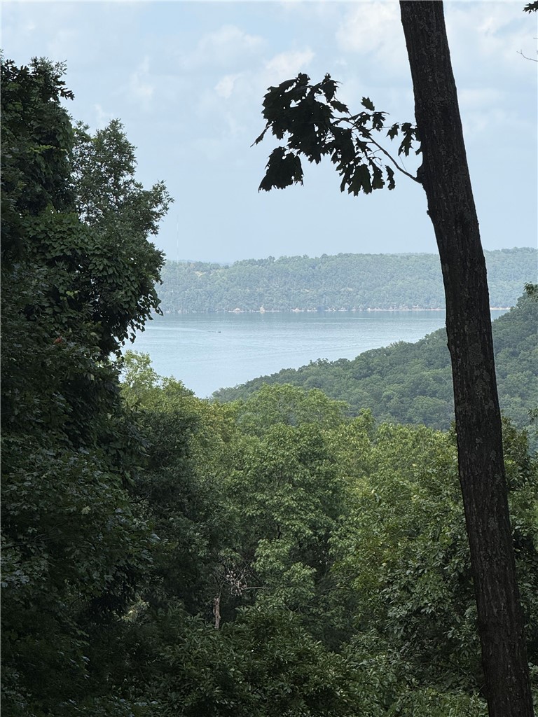 Build your dream lake home on this conveniently located lot just off a paved county road, featuring beautiful views of Beaver Lake. The underbrush has already been cleared, making it easier to begin construction. Enjoy quick access to Starkey Marina, where you'll find a public boat launch and boat slips available for rent. Whether you're looking for a full-time residence or a weekend getaway, this property offers the perfect combination of convenience and lake living.