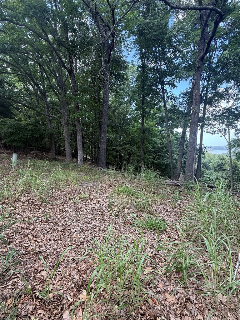 Tri View Estates - Land