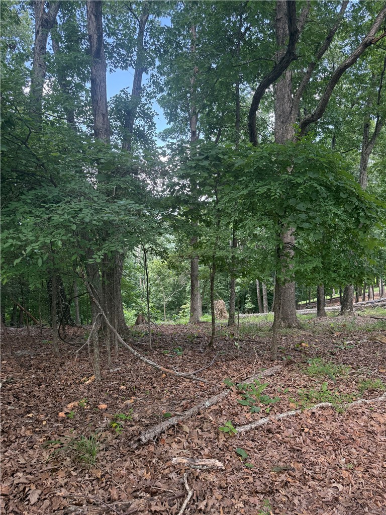 Tri View Estates - Land