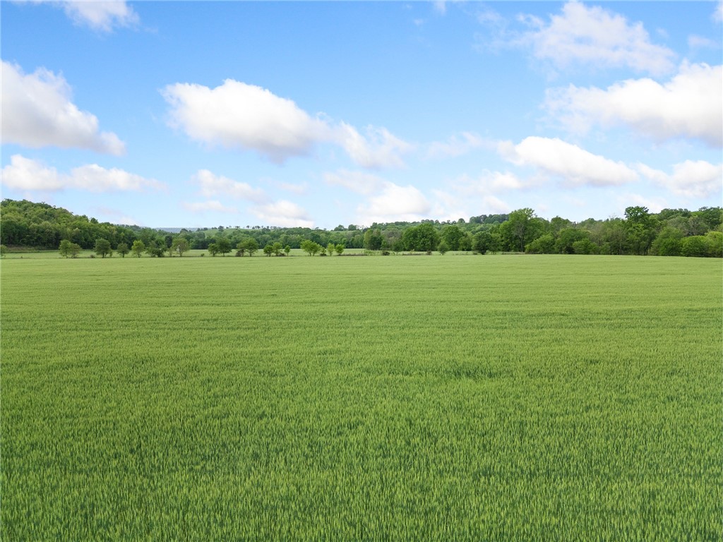 Long Creek Estates Ii - Land