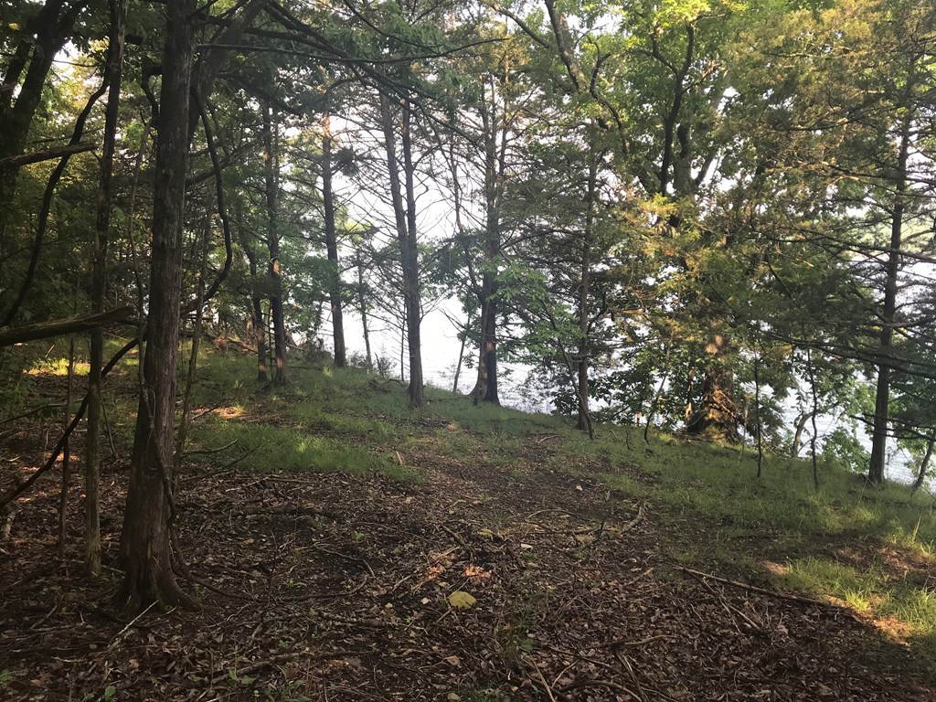 Point Mirage - Land