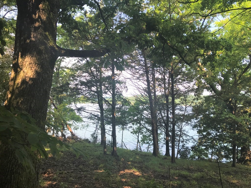 Point Mirage - Land