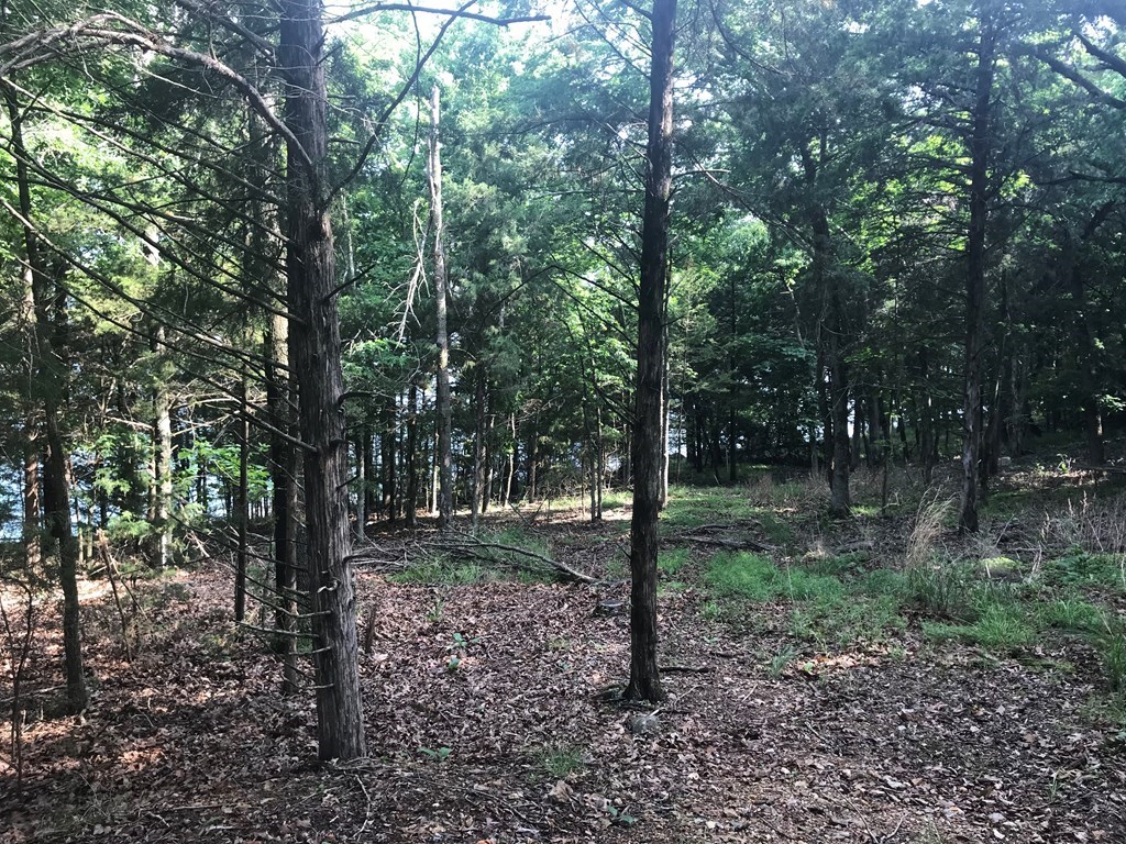 Point Mirage - Land