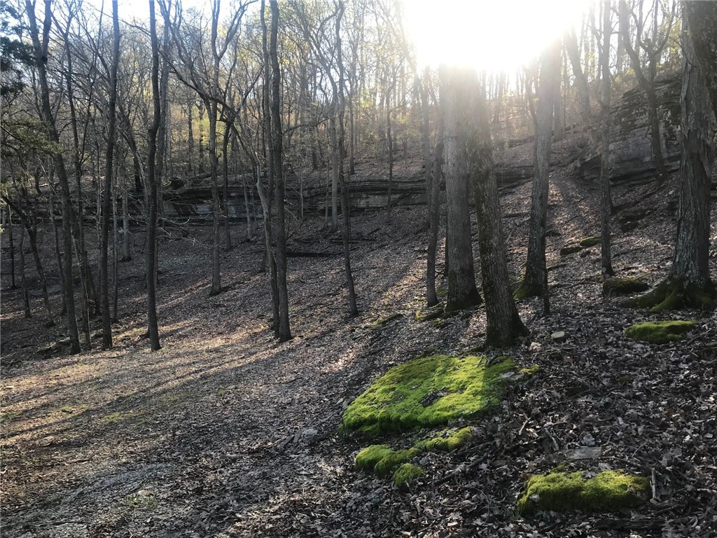 Point Mirage - Land