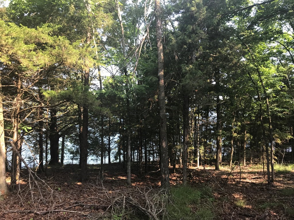 Point Mirage - Land