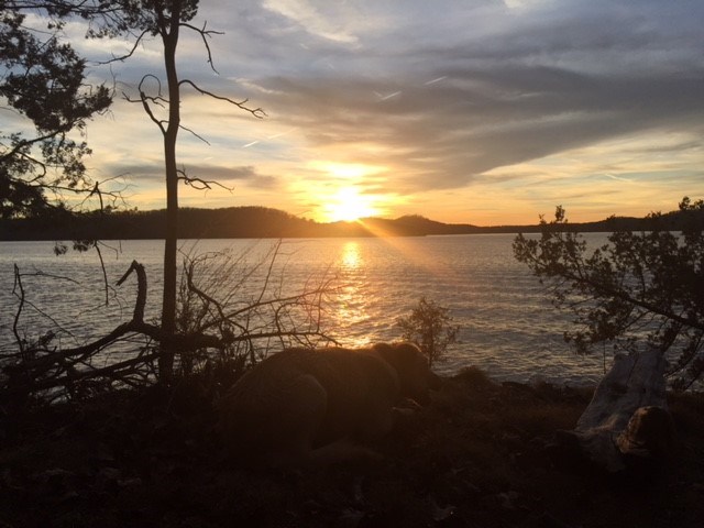 Point Mirage - Land